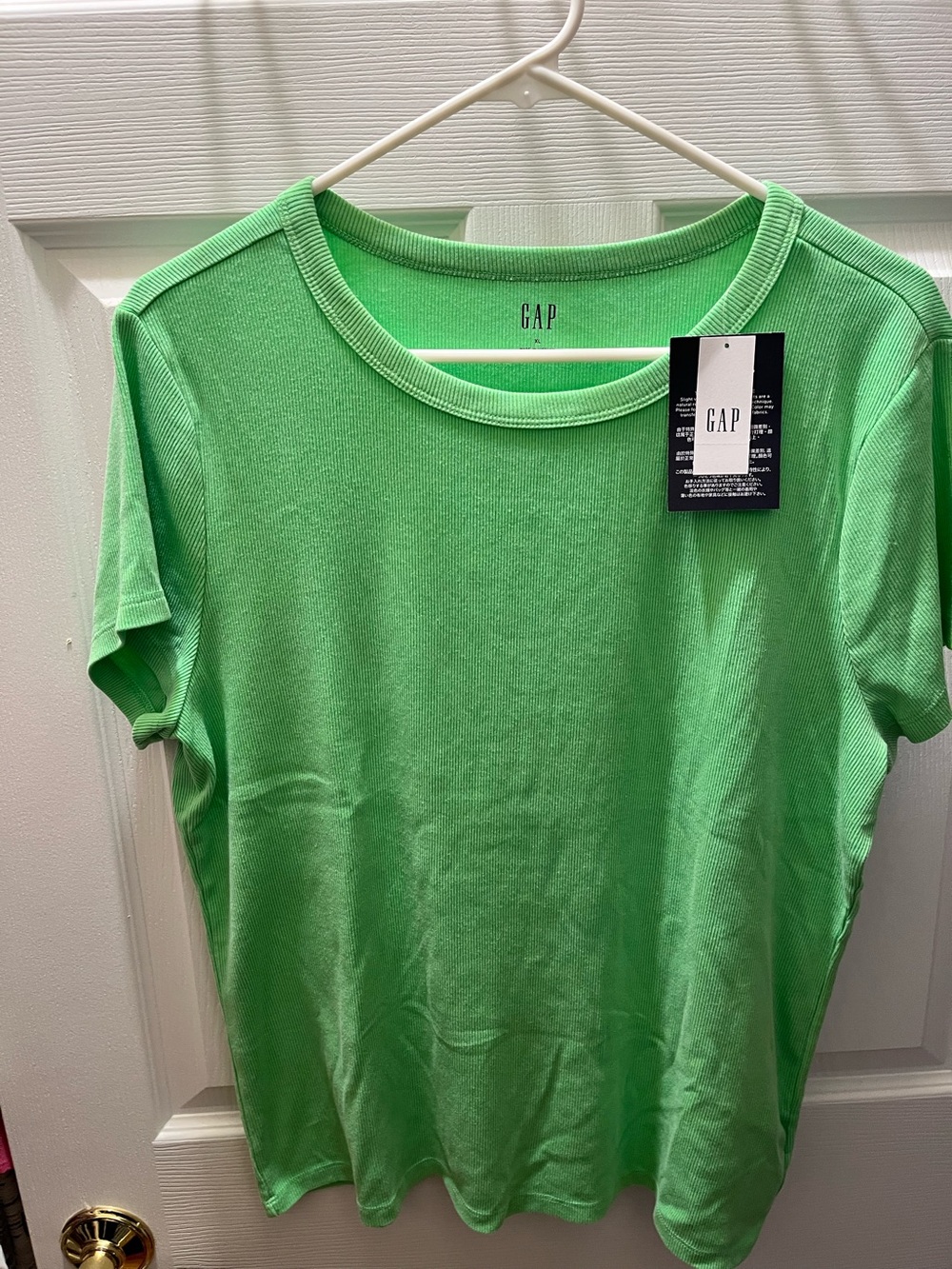 GAP Short Sleeve Ribbed Tee in Light Green (Size XL) NEW WITH TAGS - Picture 1 of 3